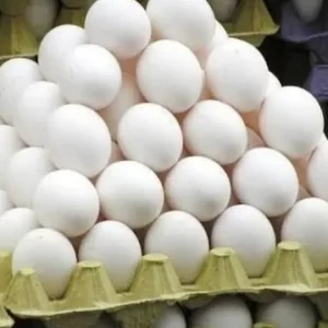 Fresh White Table Chicken Egg